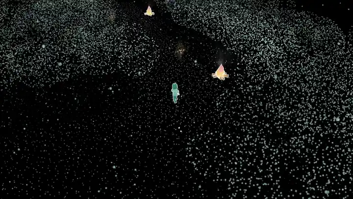 The boy walking along a winding path through the forest at night